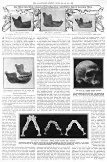 Images Dated 27th November 2016: Piltdown Man article- The most ancient inhabitant of England