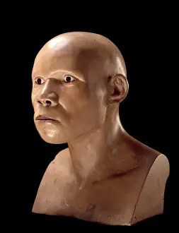 Piltdown Man (Model based on Piltdown 1 & 2)