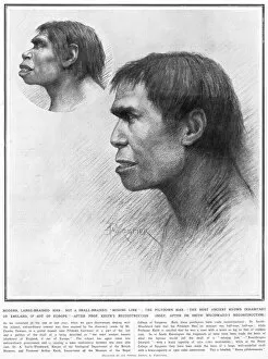 Remains Collection: Piltdown man reconstructed