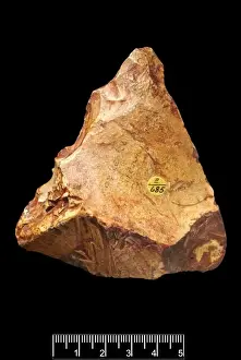 Paleolithic Prints: Piltdown Palaeolith flint