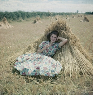 Summer Gallery: Pin-Up in Corn Field