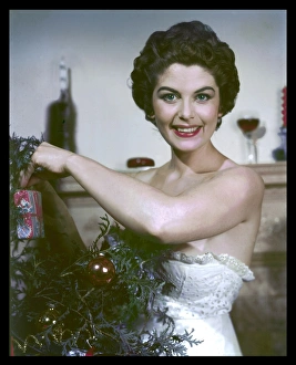 Broderie Gallery: Pin-Up Decks Tree