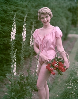 Gingham Gallery: Pin-Up & Foxgloves