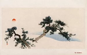 Images Dated 31st May 2018: Pine Tree Branches by Matsumura Goshun (Matsumura Gekkei)