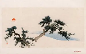 Printing Prints: Pine Tree Branches by Matsumura Goshun (Matsumura Gekkei)