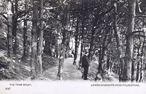 The Pine Walk - Lower Sandgate Road, Folkestone, Kent