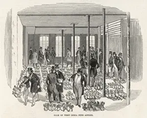 Pineapples Sold, London