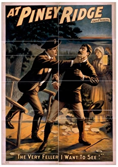 Higgins Collection: At Piney Ridge by David Higgins