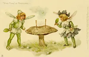 Ping Pong in Fairyland