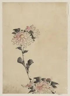 Stalk Prints: Pink flower blossoms on low stalk and two on a tall stalk