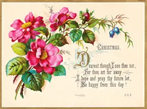 Pink flowers on a Christmas card