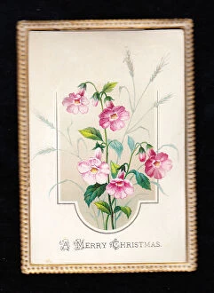 Images Dated 15th May 2018: Pink flowers on a Christmas card