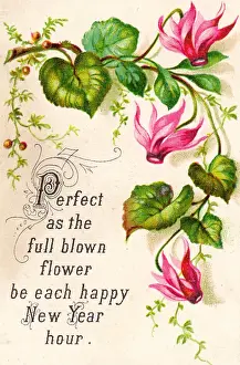 Pink flowers on a New Year card
