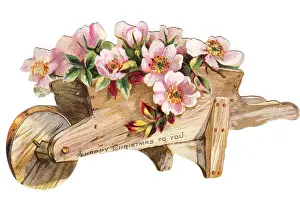 Wheelbarrows Prints: Pink flowers in a wheelbarrow on a cutout Christmas card