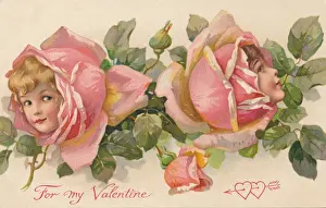 Pink rose Flower Faces