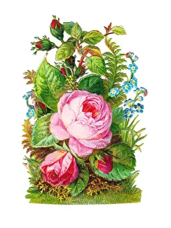 Pink roses and blue forgetmenots on a Victorian scrap
