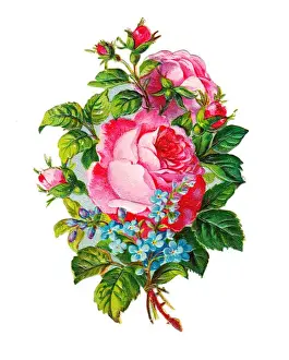 Pink roses and blue forgetmenots on a Victorian scrap