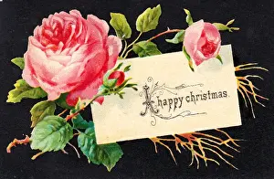 Rosebuds Prints: Pink roses on a Christmas card