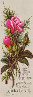 Pink roses on a Christmas card