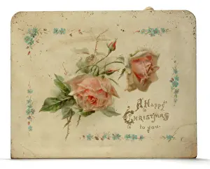 Pink roses on a Christmas card