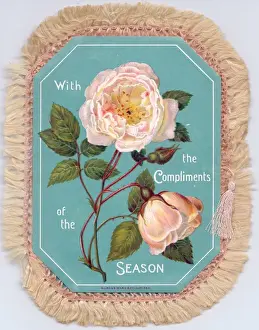 Silky Prints: Two pink roses on a fabric Christmas card