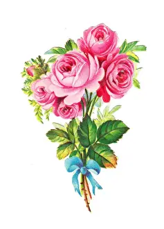 Pink roses on a Victorian scrap