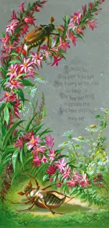 Beetles Prints: Pink and white flowers with beetles on a New Year card