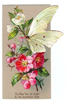 Pink and white flowers with butterfly on a New Year card
