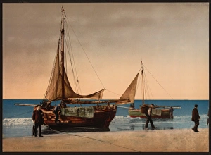 Scheveningen Gallery: Pinken, Scheveningen, Holland