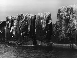 Pinnacles Prints: The Pinnacles