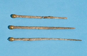Pins with gilt heads. 2nd-3rd century. From Can Colomer Munm Pins with gilt heads. 2nd-3rd century. From Can Colomer Munm