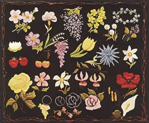 Decorating Gallery: Piped Flower Samples Date: 1935