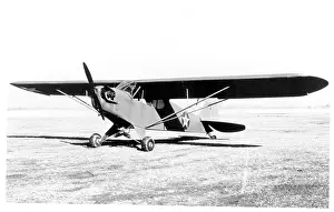 Usaac Prints: Piper O-59 Grasshopper
