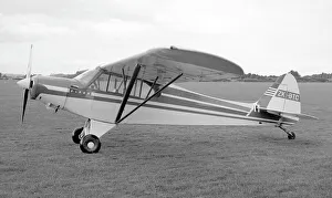 Mangere Prints: Piper PA-18A Super Cub ZK-BTC