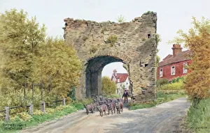 Winchelsea Prints: Pipewell Gate, Winchelsea, Sussex