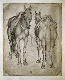 PISANELLO, Antonio di Puccio Pisano, called (1395-1455)