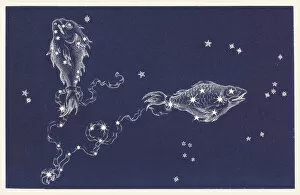 Constellation Gallery: Pisces
