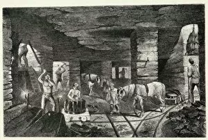 Mine Gallery: PIT PONIES / 1853