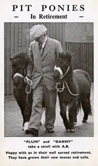 Defence Prints: Pit Ponies in Retirement - Plum & Danny