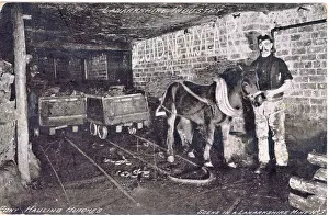 Handler Prints: Pit pony with handler underground in Lanarkshire mine