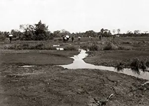 The pitch lake, Trinidad, West Indies, circa 1900