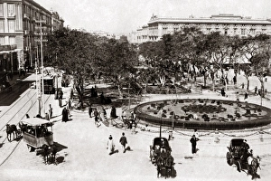 Alexandria Library