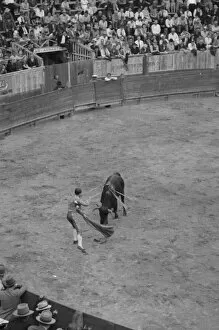 Bull Fight Gallery: Placing the sword for the kill, bullfight, Matomoros, Mexico