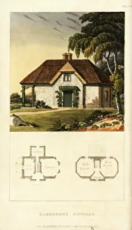 Images Dated 10th June 2019: Plan and elevation of a Regency gardeners cottage