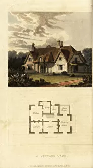 Labourer Collection: Plan and elevation of a Regency thatched cottage