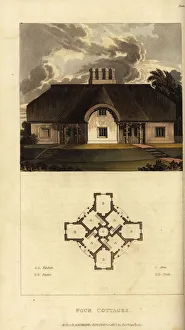 Plan and elevation of a Regency thatched cottage