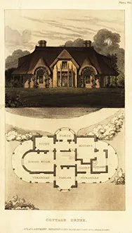 Images Dated 10th June 2019: Plan and elevation for a thatched cottage