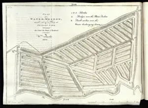 Allowing Prints: Plan of a Water-Meadow made out of a Bog