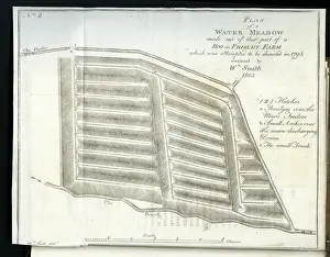 Drain Prints: Plan of a Water-Meadow made out of part of a Bog
