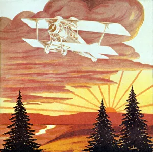 Airliners Gallery: Plane in Sunset